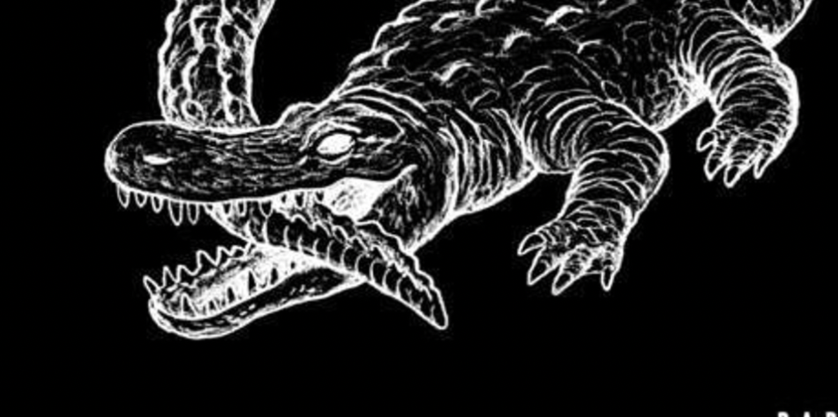 Catfish and the Bottlemen | The Ride Album Poster