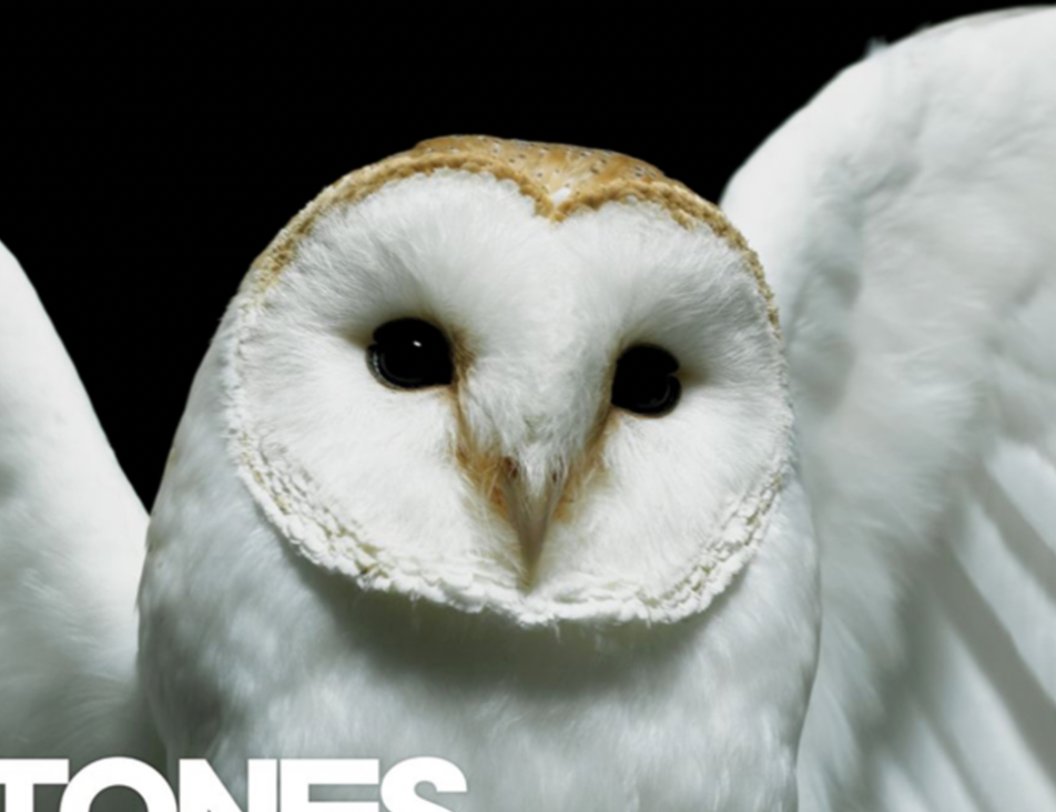 Deftones | Diamond Eyes